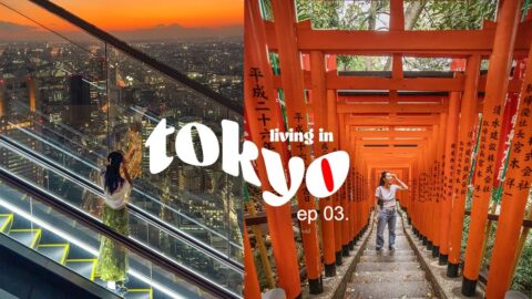 SamandVictor tokyo vlog 🇯🇵 | shibuya sky, roppongi xmas lights, victor’s perm, yakiniku satobriand, shopping haul